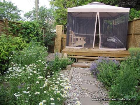 ecological-vegetable-garden