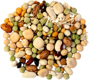 healthy foods beans