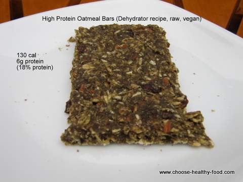 high protein oatmeal bar dehydrator recipe