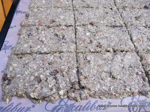 high protein oatmeal bar in the dehydrator