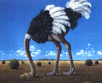 ostrich with his head in the sand