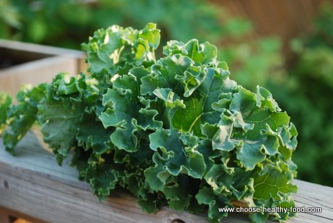 Raw kale recipes