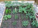 square foot garden