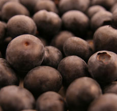 blueberry is top healthy food