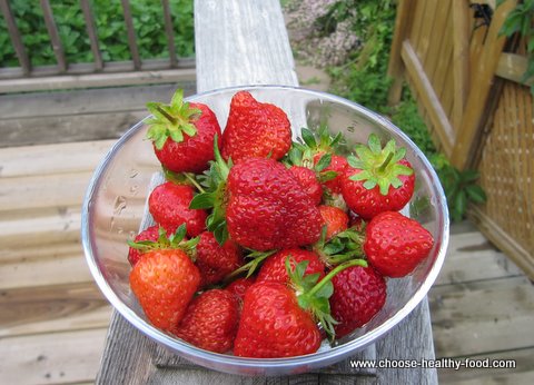 growing strawberries in a square foot garden 
